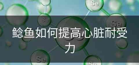 鲶鱼如何提高心脏耐受力(鲶鱼如何提高心脏耐受力呢)